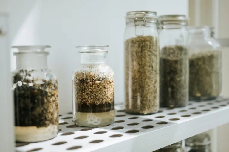 Wie Wildkräuter deine Meditation ganzheitlich unterstützen