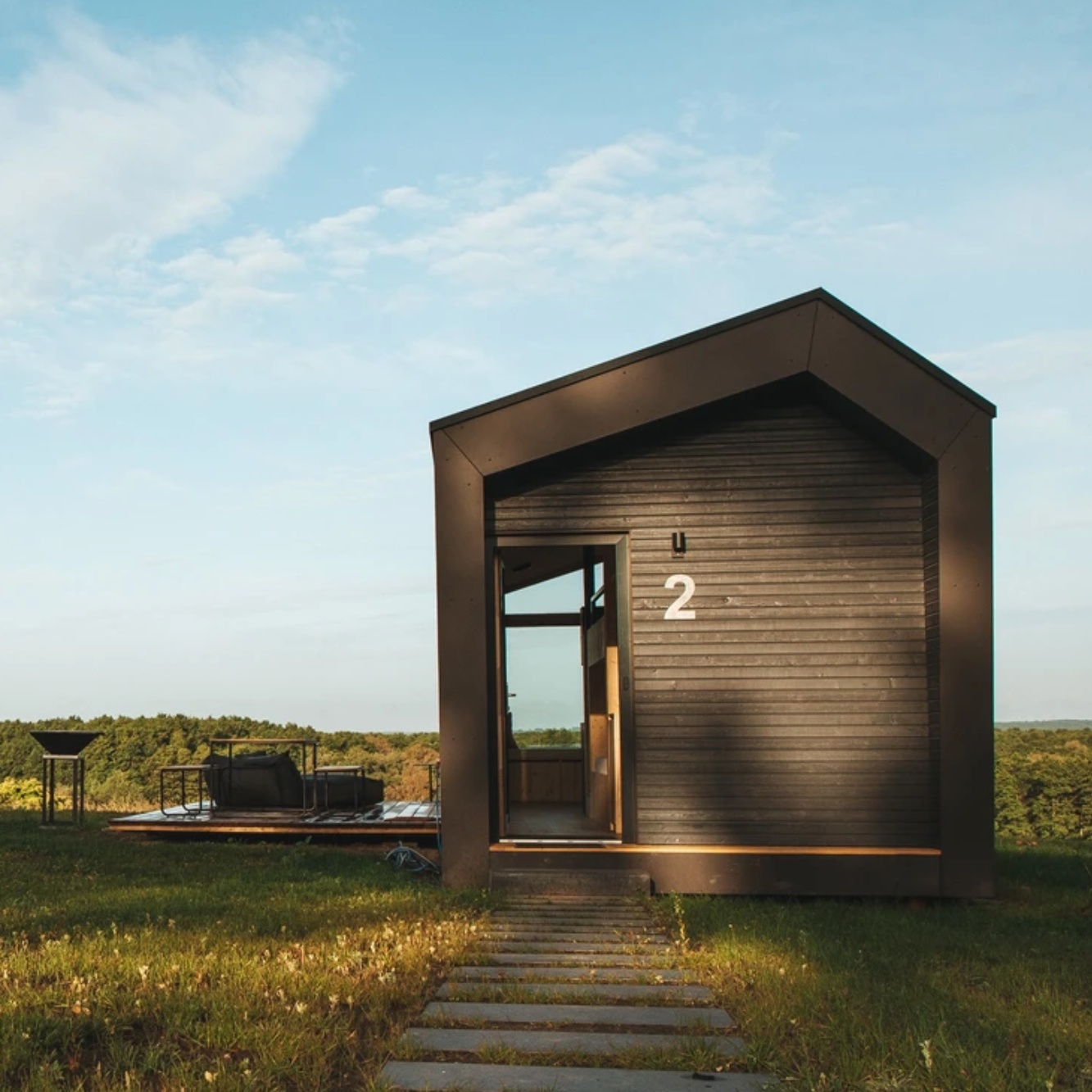 Tinyhaus auf schwarzem Holz auf einer Wiese