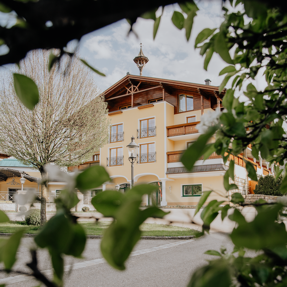 Blick durch Blätter auf ein Hotel mit gelber Fassade