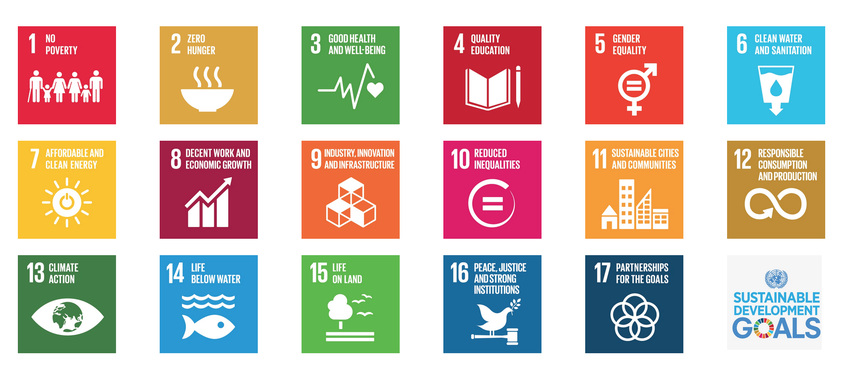 Es gibt 17 verschiedene UN Ziele für nachhaltige Entwicklung