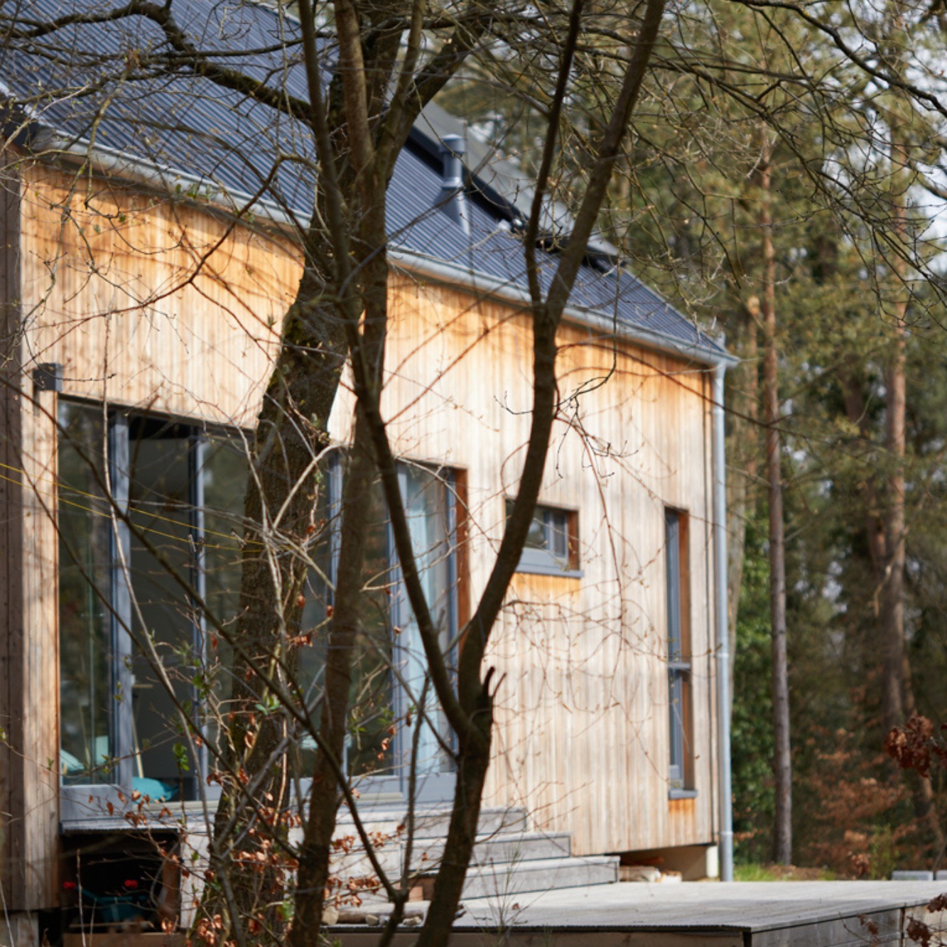 Ein modernes Holzhaus mitten im Wald mit großen Fenstern