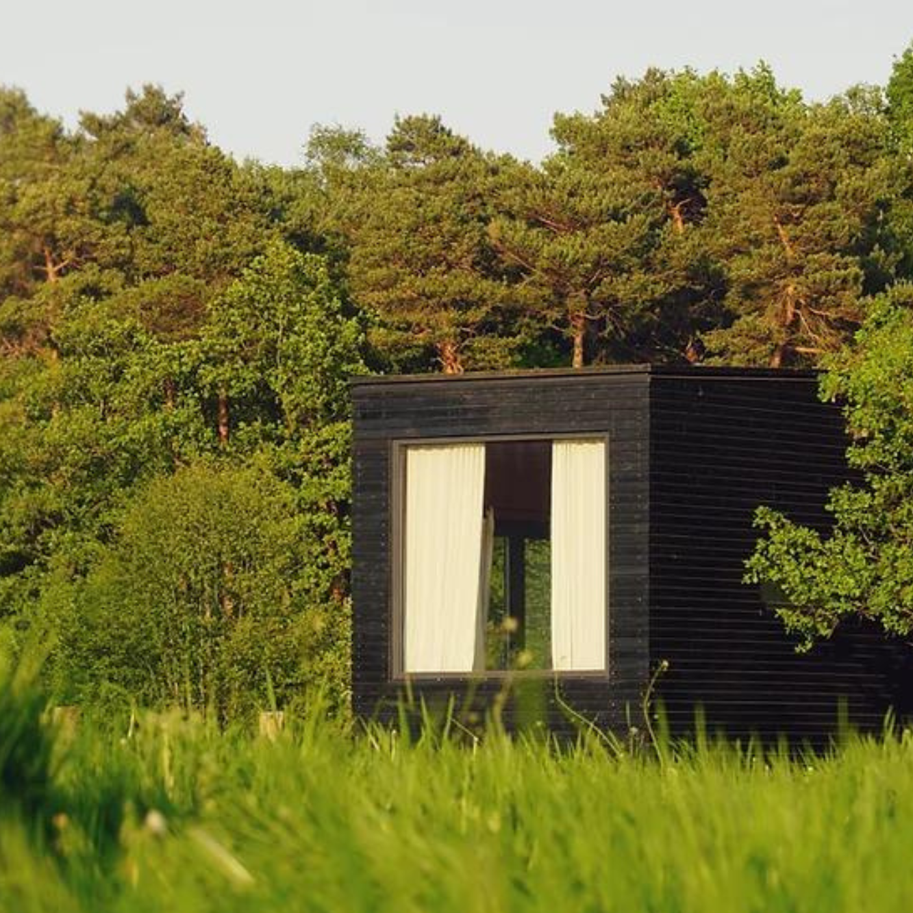 Schwarzes Tiny Haus mitten im Wald