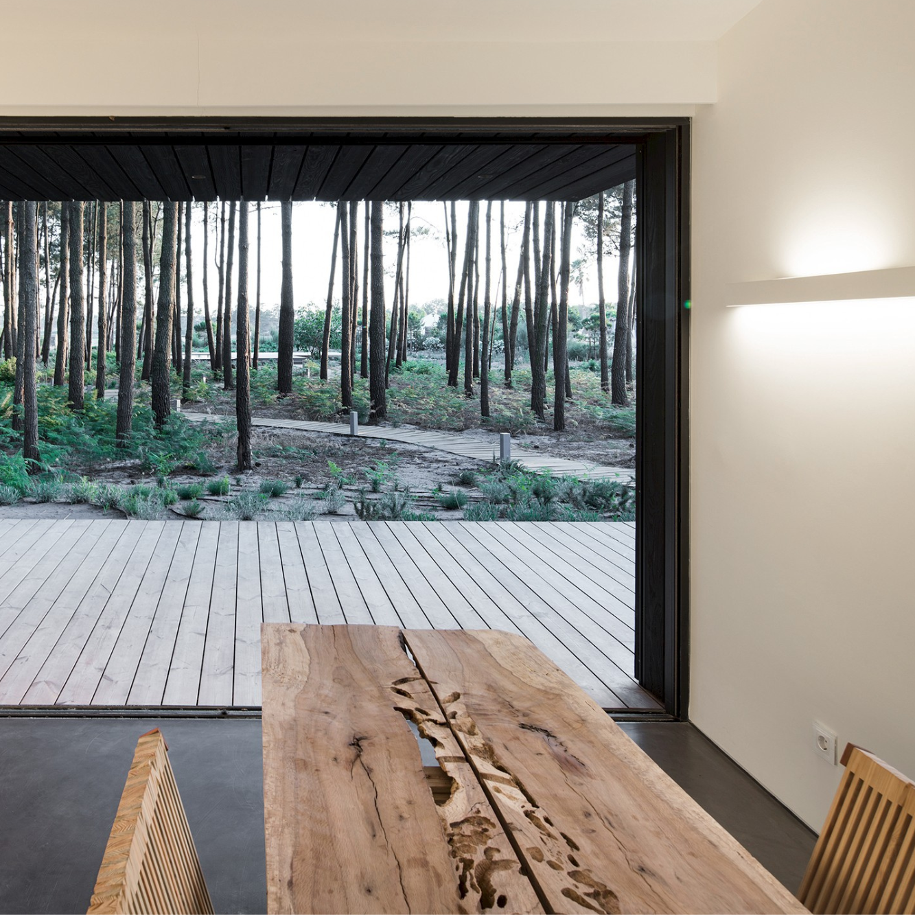 Ein Blick auf einen Wald mit Holzterrasse