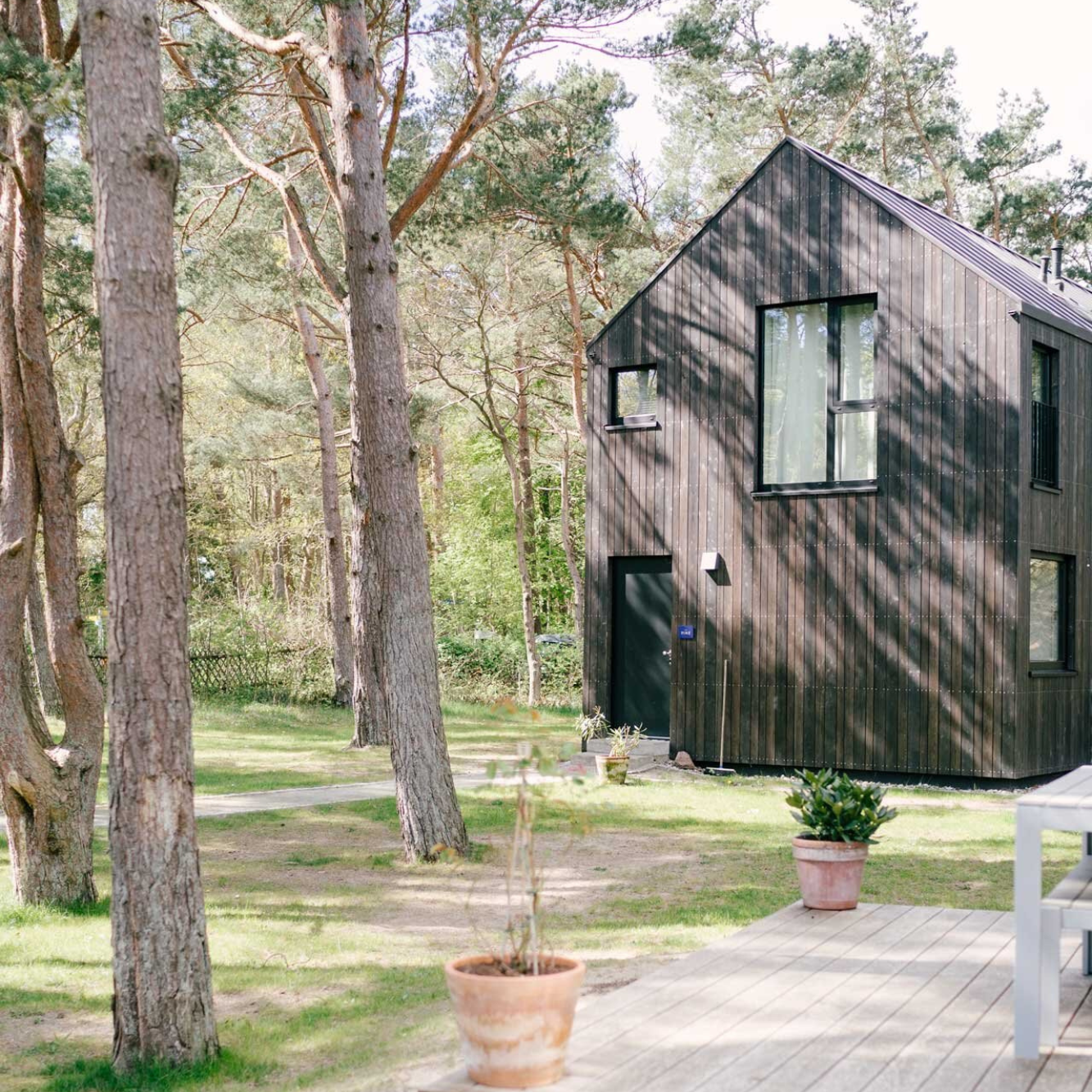 Ein schwarzes Haus aus Holz mitten im Kiefernwald