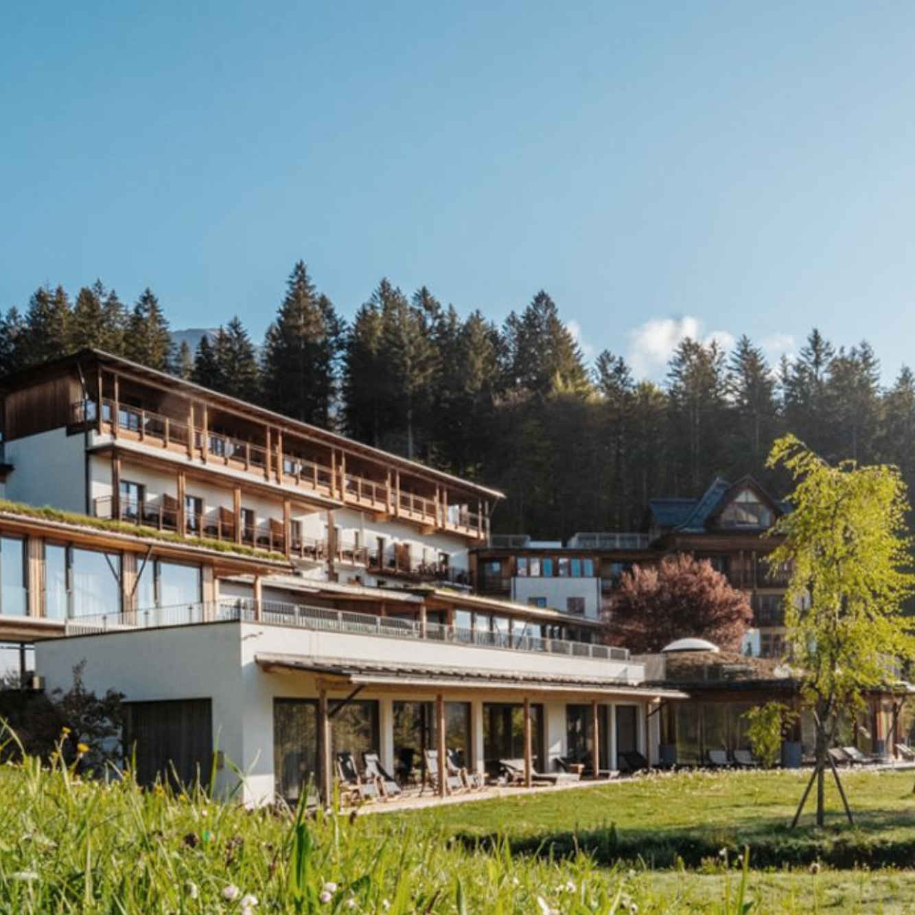 Ein naturverbundenes Hotel umgeben von Grün