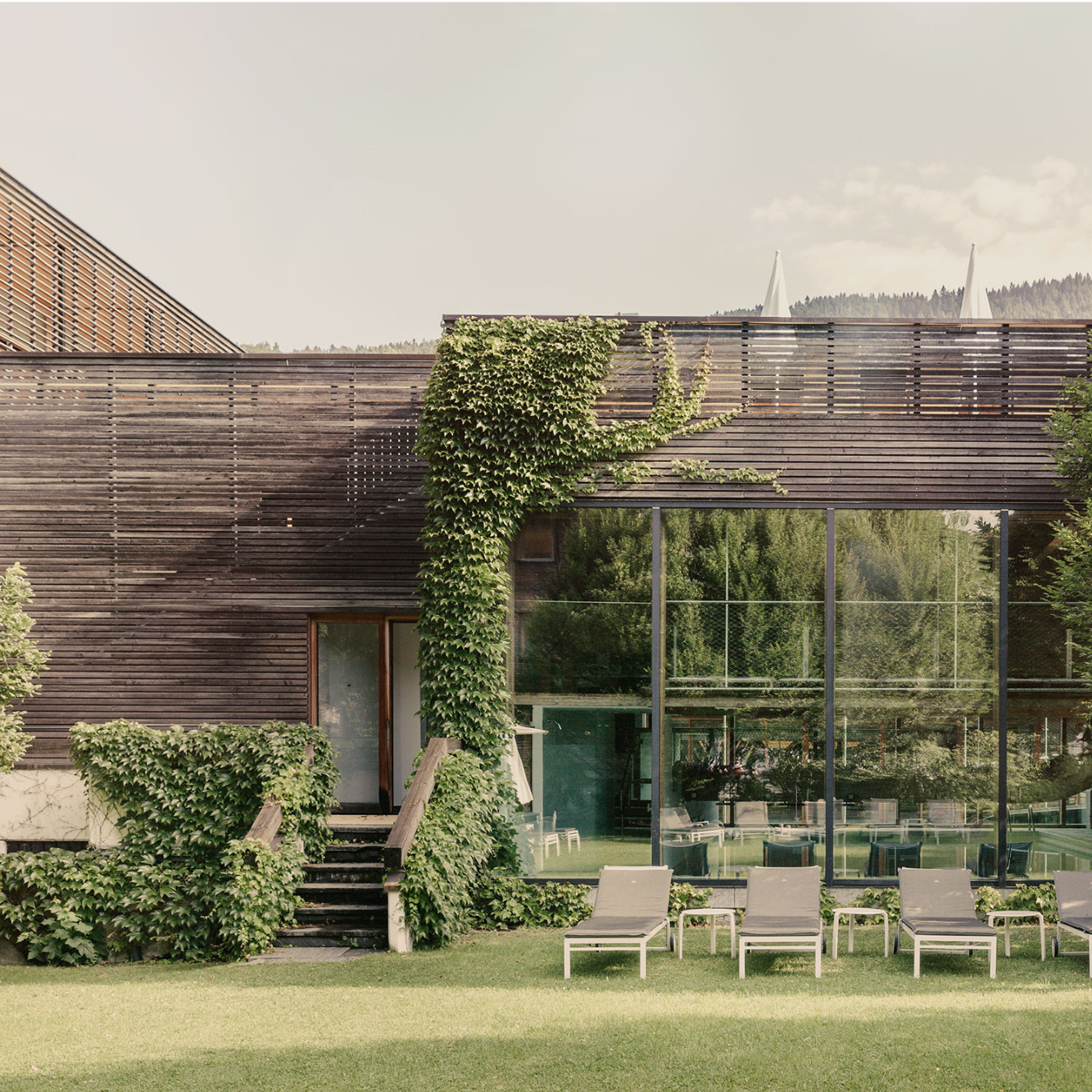 Ein super modernes Holzhaus eingewachsen mit Grünzeug