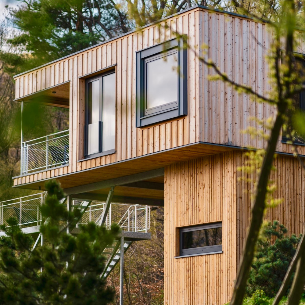 Baumhaus Foto