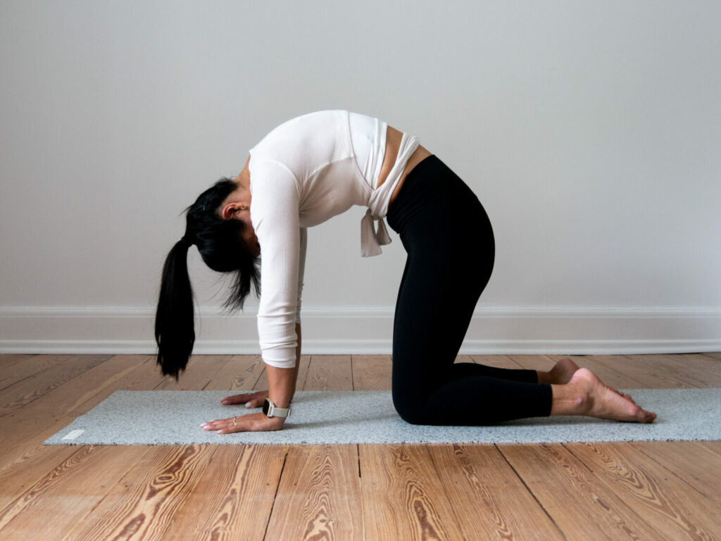 Katzenstellung im Yoga auf der eher hellen hejhej-mat